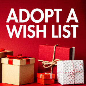 Adopt a wish list