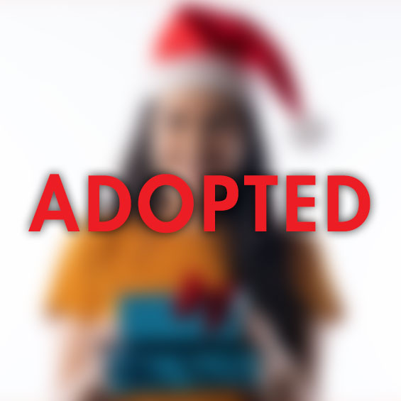 Wish List Adopted